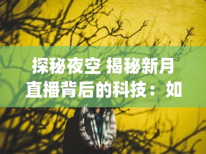 探秘夜空 揭秘新月直播背后的科技：如何捕捉月亮的神秘之美 让我们带你一探究竟 v9.1.4下载