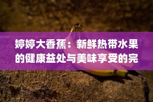 婷婷大香蕉：新鲜热带水果的健康益处与美味享受的完美结合 v0.8.5下载