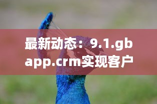 最新动态：9.1.gbapp.crm实现客户关系管理突破，如何提升企业效率与客户满意度? v7.4.7下载