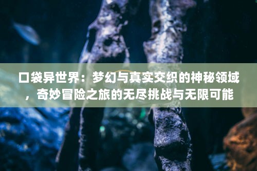 口袋异世界：梦幻与真实交织的神秘领域，奇妙冒险之旅的无尽挑战与无限可能