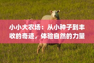 小小大农场：从小种子到丰收的奇迹，体验自然的力量和田园生活的乐趣