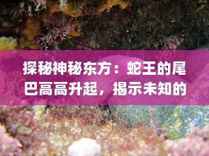 探秘神秘东方：蛇王的尾巴高高升起，揭示未知的动物世界奥秘 v5.8.7下载