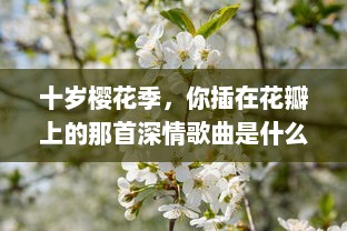 十岁樱花季，你插在花瓣上的那首深情歌曲是什么：一段青春记忆的音符流转