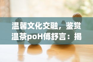 温馨文化交融，鉴赏温茶poH傅舒言：揭秘中国古代茶文化沿革与现代演变 v0.2.7下载