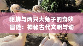 貂蝉与两只大兔子的奇妙冒险：神秘古代文明与动物王国的奇幻动画片