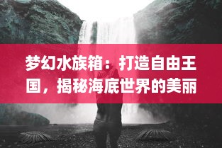 梦幻水族箱：打造自由王国，揭秘海底世界的美丽奥秘与绚烂生命