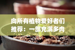 向所有植物爱好者们推荐：一部充满多肉植物魅力，展示车载多肉艺术1V2的精彩之作