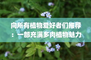 向所有植物爱好者们推荐：一部充满多肉植物魅力，展示车载多肉艺术1V2的精彩之作