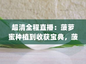 超清全程直播：菠萝蜜种植到收获宝典，菠萝蜜视频在线观看，让你身临其境体验热带风情 v1.4.6下载