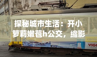 探秘城市生活：开小箩莉嫩苞h公交，缩影展示都市繁华与人文味道