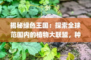 揭秘绿色王国：探索全球范围内的植物大联盟，种类、特性与人类生活的千丝万缕联系