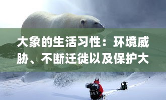 大象的生活习性：环境威胁、不断迁徙以及保护大象群体的迫切需要 v9.6.3下载