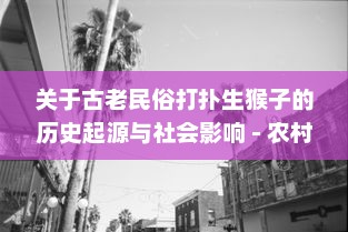 关于古老民俗打扑生猴子的历史起源与社会影响 - 农村生活的狙击者，古代农耕经济的象征 v1.8.4下载