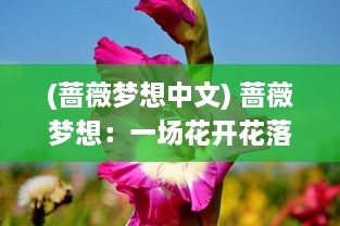 (蔷薇梦想中文) 蔷薇梦想：一场花开花落的爱情轮回，繁华之后的沉静思索