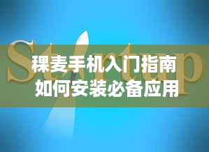 稞麦手机入门指南 如何安装必备应用 新手详细教程等你来探索 v5.1.9下载