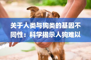 关于人类与狗类的基因不同性：科学揭示人狗难以杂交形成后代的生物学原理