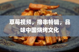 草莓视频，撸串特辑，品味中国烧烤文化