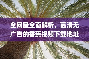 全网最全面解析，高清无广告的香蕉视频下载地址，快速获取你想要的内容