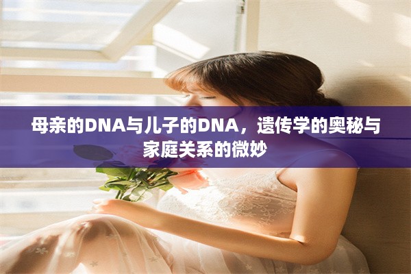 母亲的DNA与儿子的DNA，遗传学的奥秘与家庭关系的微妙