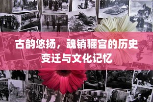 古韵悠扬，魂销骊宫的历史变迁与文化记忆