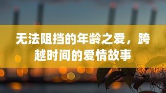 无法阻挡的年龄之爱，跨越时间的爱情故事