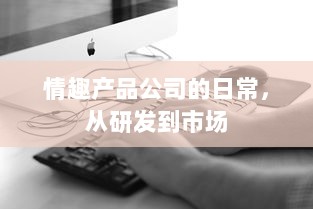 情趣产品公司的日常，从研发到市场