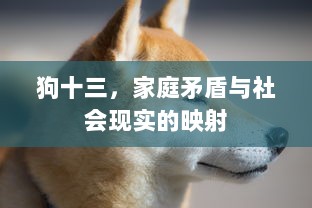 狗十三，家庭矛盾与社会现实的映射